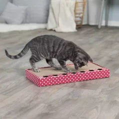 carton