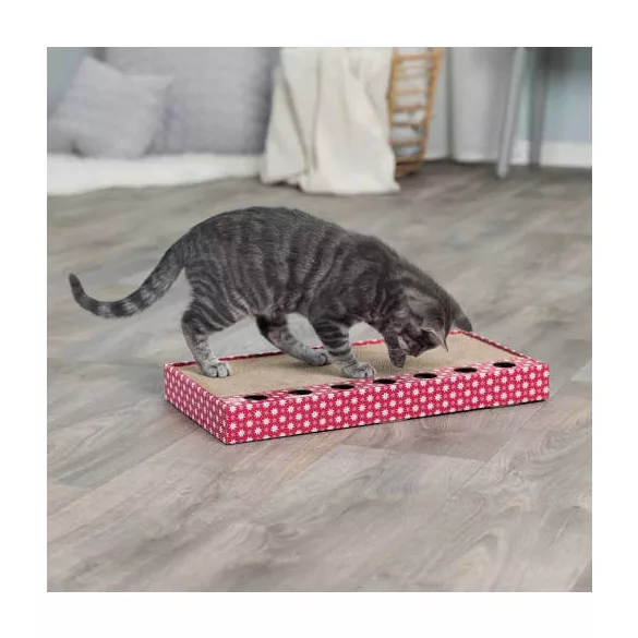 carton