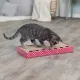carton
