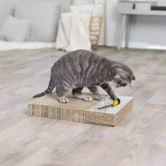 carton