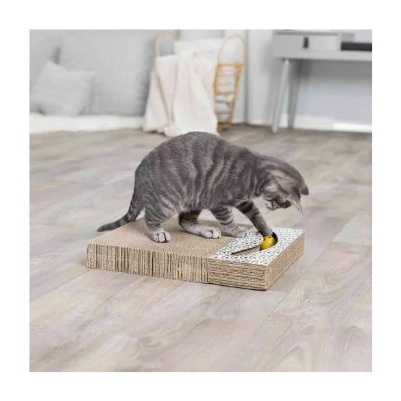 carton