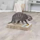 carton