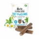brit-dental-stick-immuno-probiotics-cinnamon