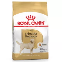 Royal Canin LABRADOR ADULT hrană pentru câini
