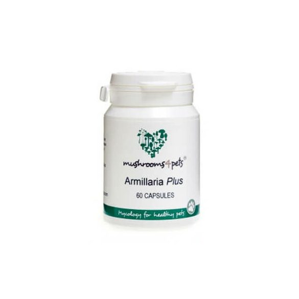 Armillaria Plus (500 mg) 60 Capsule