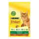 Friskies Indoor cu pui și adaos de legume de grădină 10 kg