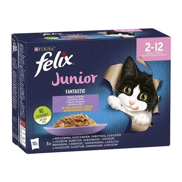 Felix Fantastic Junior Junior Sortiment mixt în aspic 12x85 g