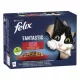 Felix Fantastic Selecție tradițională hrană umedă pentru pisici 44x85g