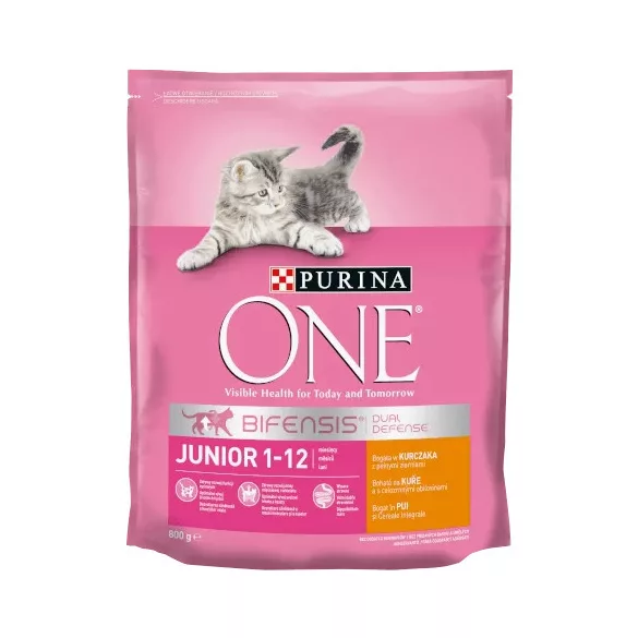 Purina ONE JUNIOR Hrană uscată pentru pisici bogată în pui cu cereale integrale 800 g