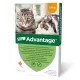 Advantage Spot-on Cat 0,4 ml (4 kg-până la) 1x