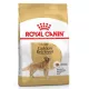 Royal Canin GOLDEN RETRIEVER ADULT hrană pentru câini