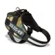 Julius-K9 IDC Powerharness, cu inscripție, Terrain