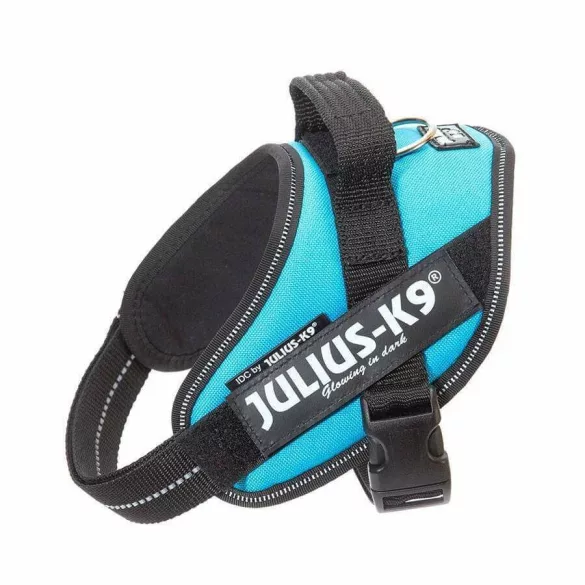 Julius-K9 IDC Powerharness cu inscripție, Aquamarine