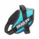 Julius-K9 IDC Powerharness cu inscripție, Aquamarine