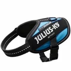 Julius-K9 IDC Powerharness cu inscripție, Aquamarine