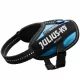 Julius-K9 IDC Powerharness cu inscripție, Aquamarine