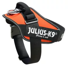 Julius-K9 IDC Powerharness cu inscripție, UV Orange