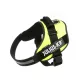 Julius-K9 IDC Powerharness cu inscripție, mărimea 3 Verde neon