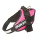 Julius-K9 IDC Powerharness cu inscripție, roz