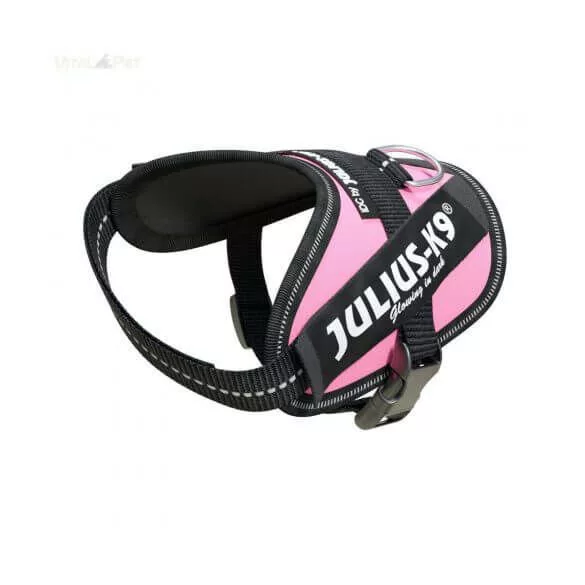 Julius-K9 IDC Powerharness cu inscripție, roz