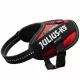 Julius-K9 IDC Powerharness cu inscripție, roșu