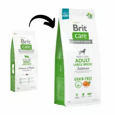   Brit Care Hrană pentru câini de talie mare fără cereale Adult Large Breed Somon și cartofi 3 kg