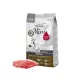 Hrană pentru câini Platinum Iberico & Greens Mini 900g
