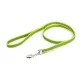 Julius K9 lesa Neon