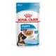 Royal Canin Start of Life Maxi Puppy 10x140g