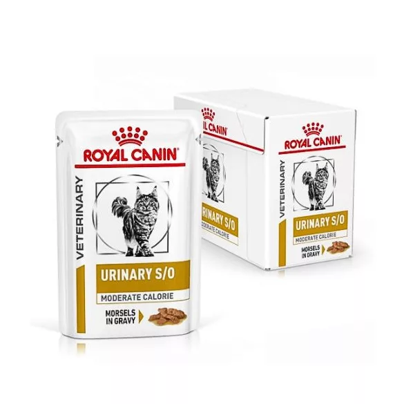 pentru probleme ale sistemului urinar