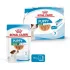 Royal Canin Start of Life Mini Puppy Multipack 4x85g