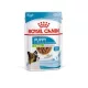 Royal Canin Start of Life X-Small Puppy 12x85g