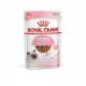 Royal Canin Kitten Gravy 85 g