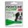 Frontline combo câine