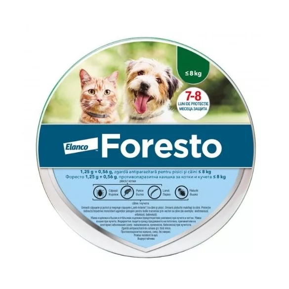 Foresto zgardă antipurici mic câine 8 kg-până la și pisică