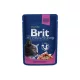 Brit Premium Cat Pouches with Salmon & Trout 12x100 g