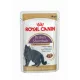 Royal Canin Shorthair Adult Sauce