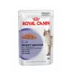 Gustări cu sos Royal Canin Digestive Care 12x85 g