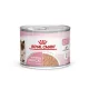 Royal Canin Babycat Mousse 12x195 g