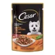 Cesar Plic hrană Chicken-vegetable 24x100 g