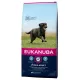 Hrană pentru câini Eukanuba Adult Large