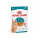 Royal Canin Ageing Gravy +12 12x85 g