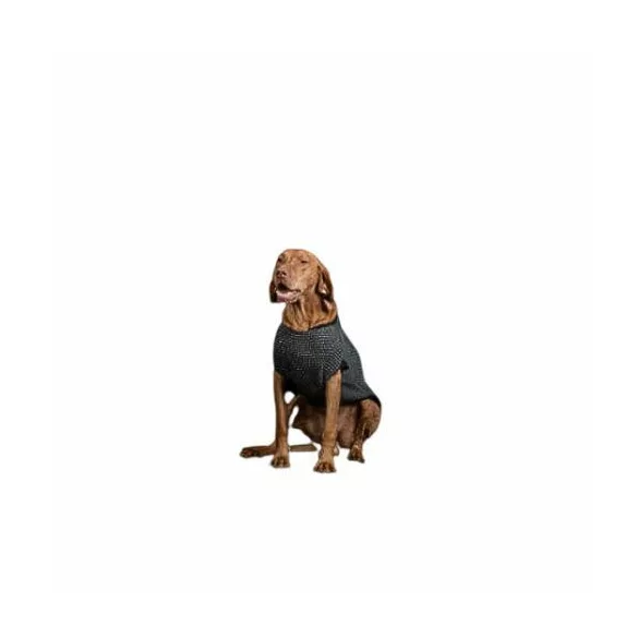 NR Dogs Rochie de câine gri