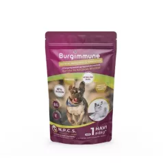   Burgimmune Premium - Combinație pentru Întărirea Sistemului Imunitar 45g