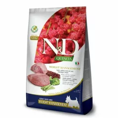 quinoa-digestion-barany-mini