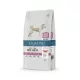QUATTRO Super Premium LARGE BREED ADULT miel, hrană pentru câini 12kg