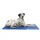 Trixie Răcoritor Saltea 65x50 cm Albastru
