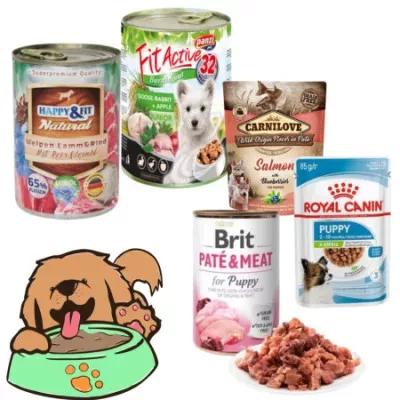 Hrană umedă câini junior