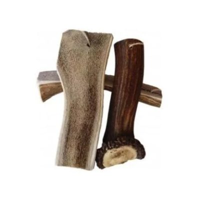 Corn de cerb pentru câini