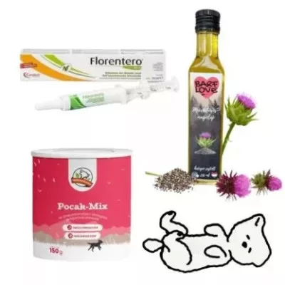 Digestie- Pentru probleme de stomac, probiotice câine